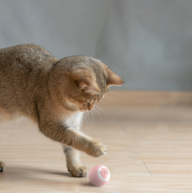 Automatic Moving Bouncing Rolling Ball Smart Cat Toy