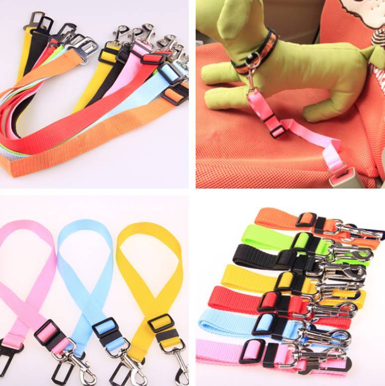 Dog Strap Dog Leash Dog Leash